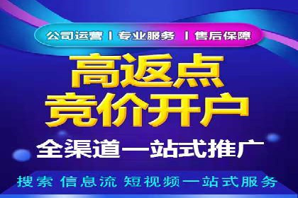 竞价推广SEM托管服务案例解析